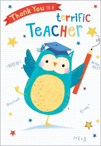 Picture of TERRIFIC TEACHER THANK YOU CARD